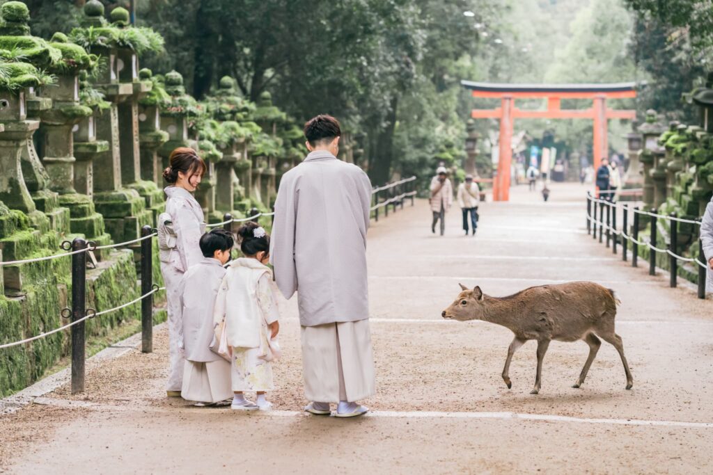 奈良の七五三に人気の神社10選
